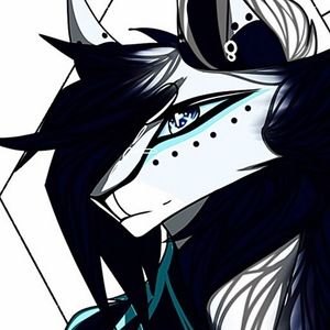 Meet your Posher, Grayson